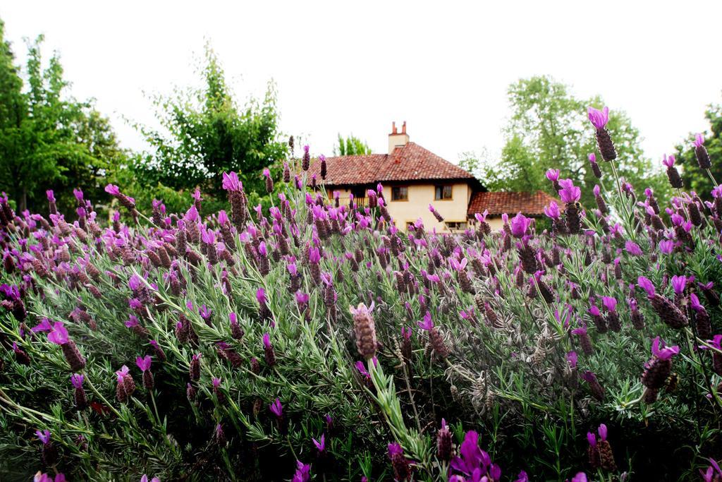 Rancho Caymus Inn Rutherford Eksteriør billede
